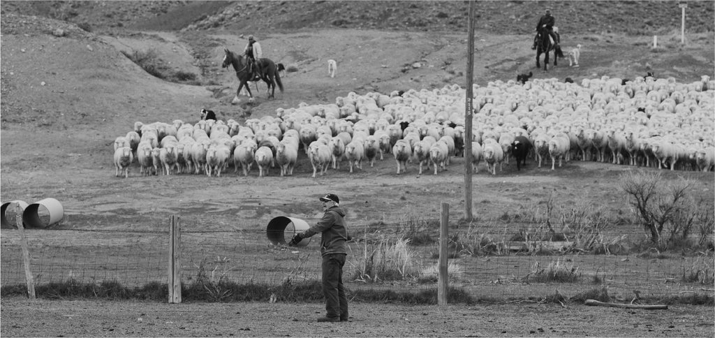 Third Generation Rancher