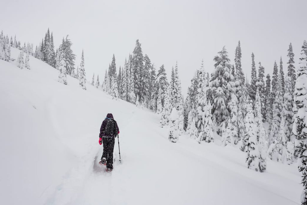 A Tour Of The Snowiest Places In America
