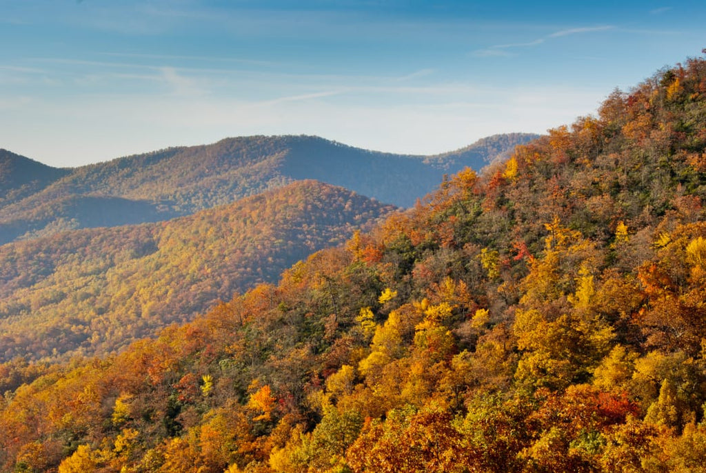 5 Top Fall Camping Spots in North Carolina