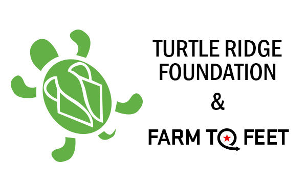 Turtle Ridge Foundation